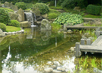 Chinesischer Garten