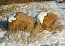 Findlinge im Winter